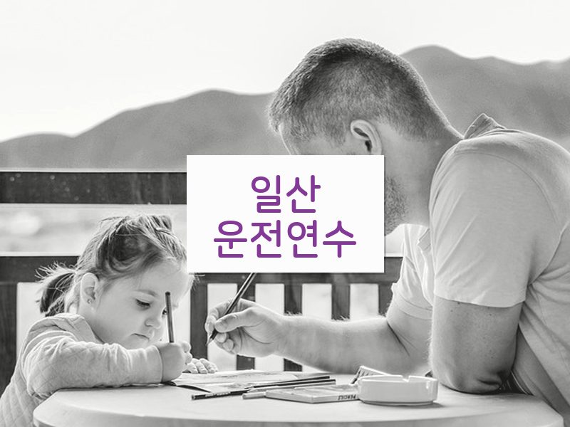 일산운전연수 후기