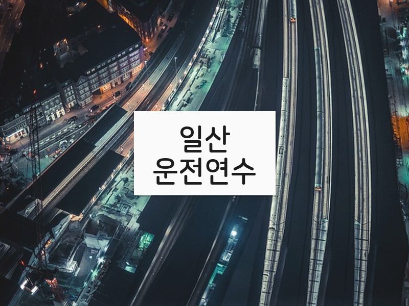일산운전연수 후기