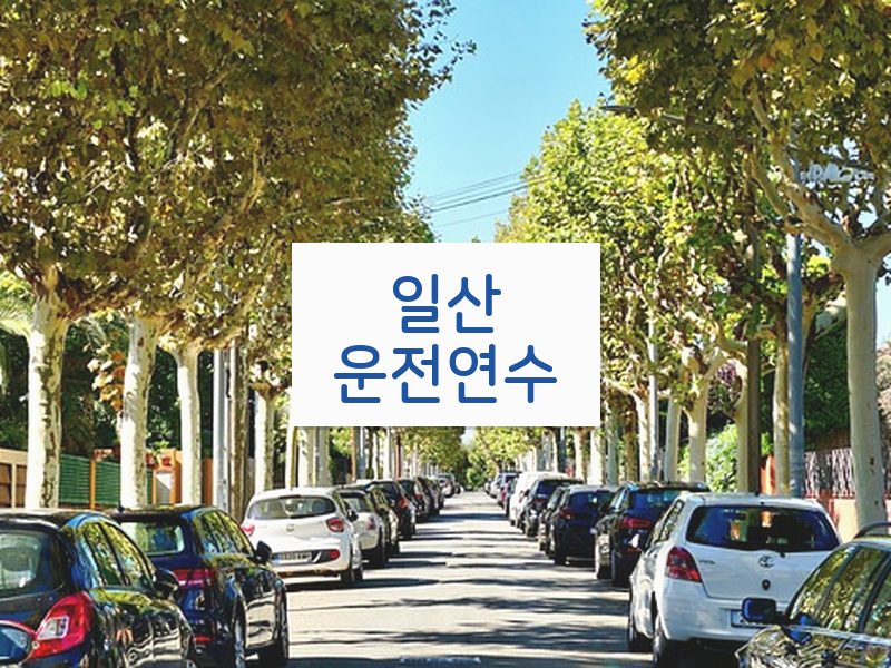 일산운전연수 후기