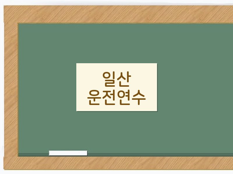 일산운전연수 후기