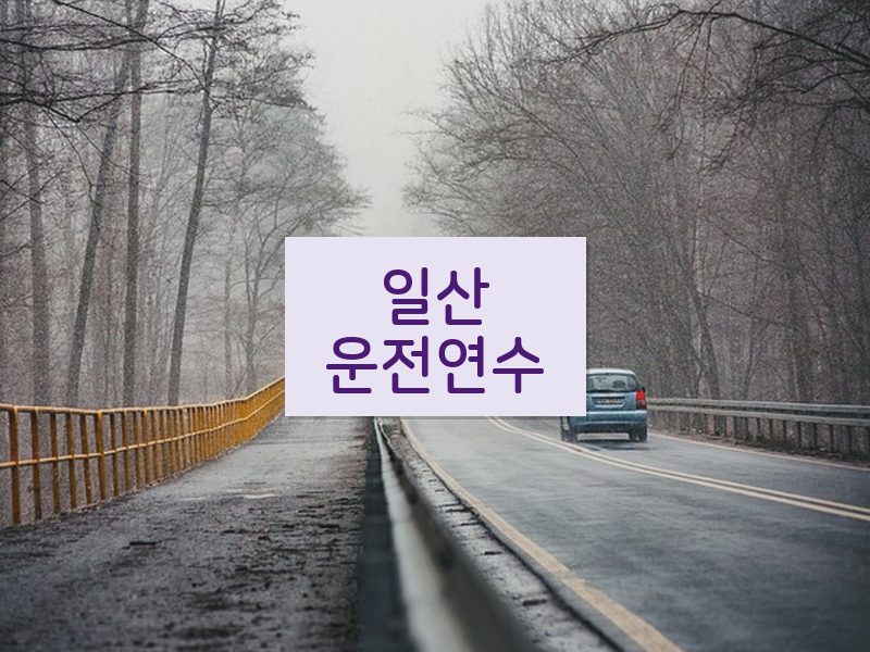 일산운전연수 후기