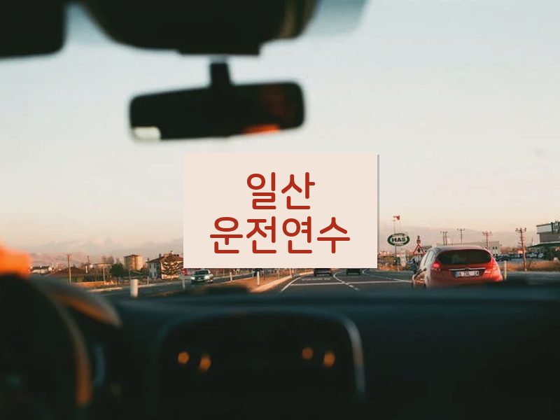 일산운전연수 후기