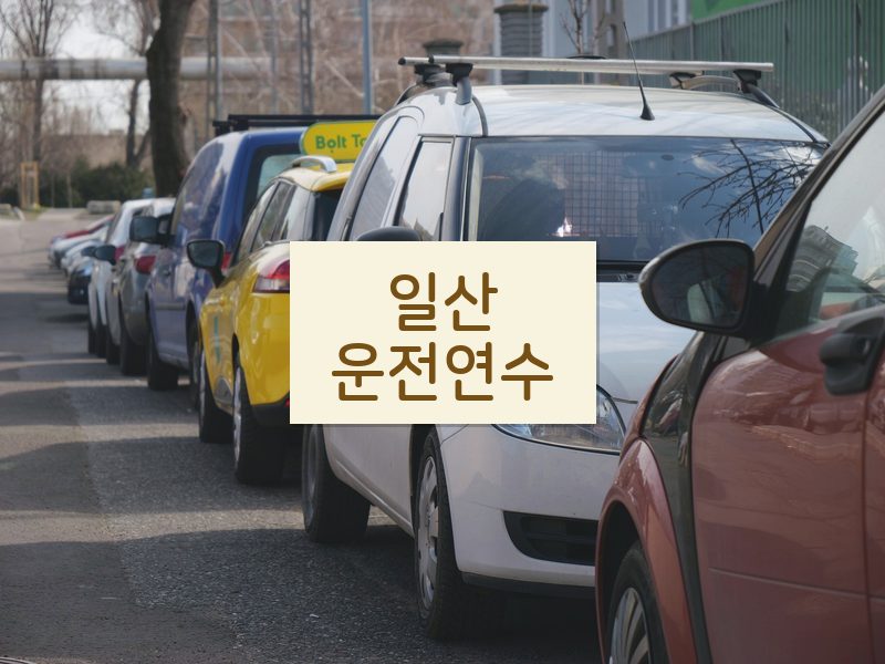 일산운전연수 후기