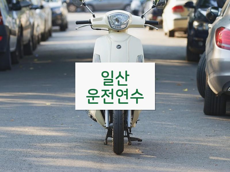 일산운전연수 후기