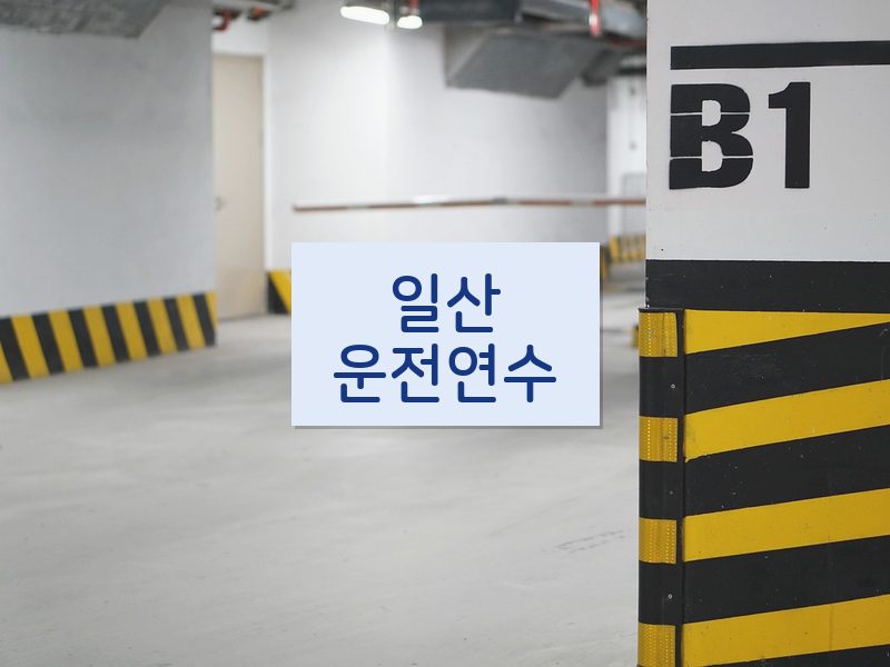 일산운전연수 후기