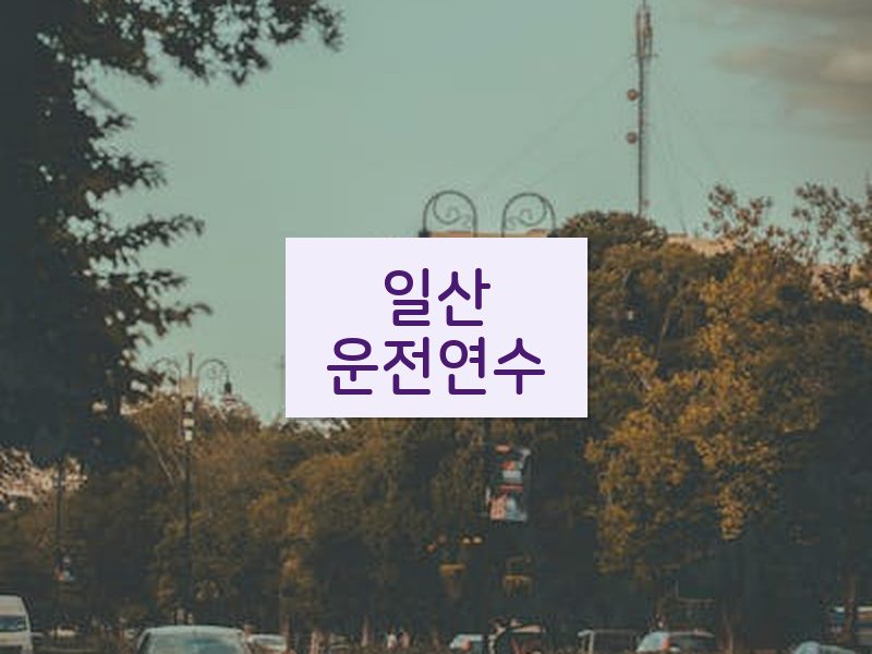 일산운전연수 후기