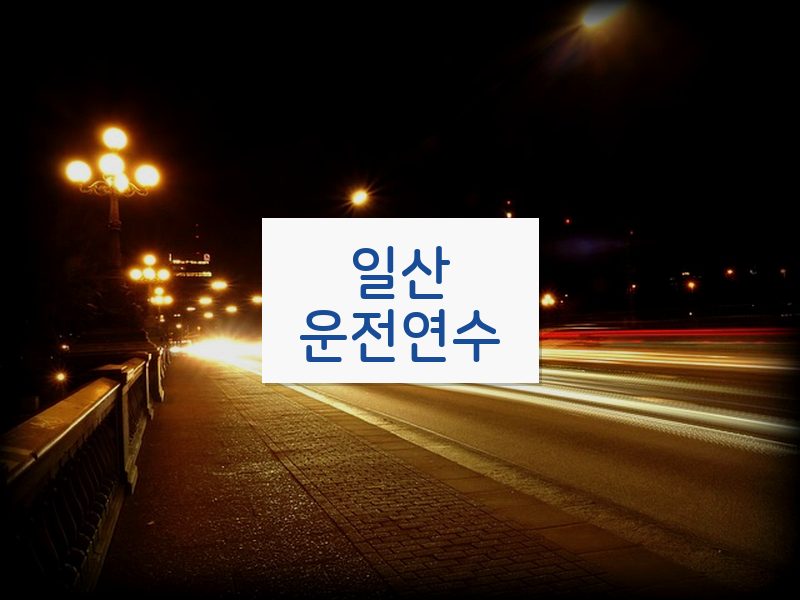 일산운전연수 후기