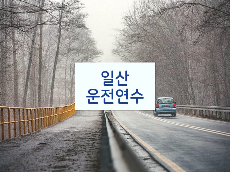 일산운전연수 후기