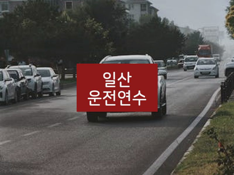 일산운전연수 후기