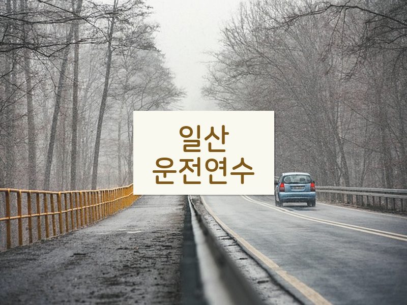 일산운전연수 후기
