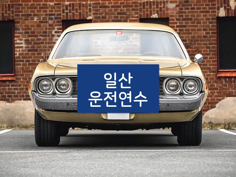 일산운전연수 후기
