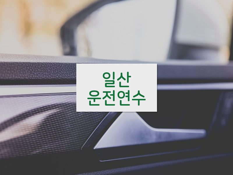 일산운전연수 후기