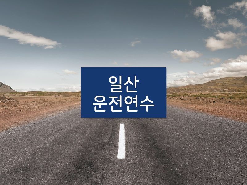일산운전연수 후기