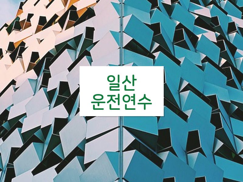 일산운전연수 후기