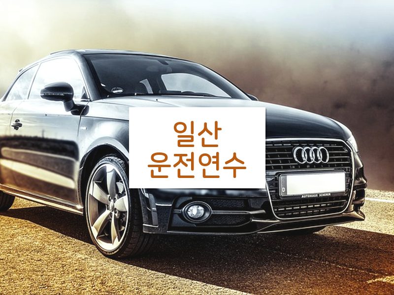 일산운전연수 후기