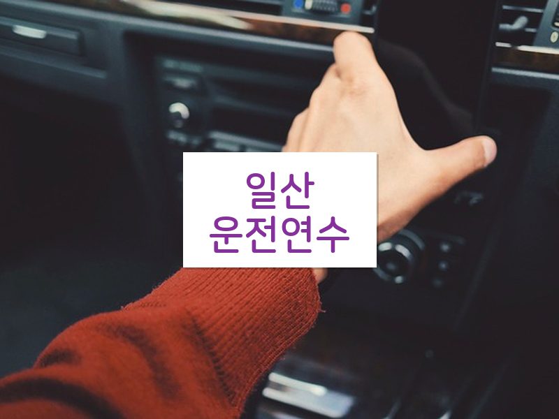 일산운전연수 후기