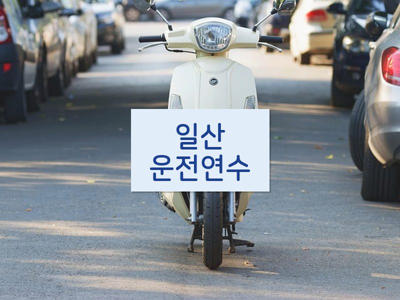 일산운전연수 후기