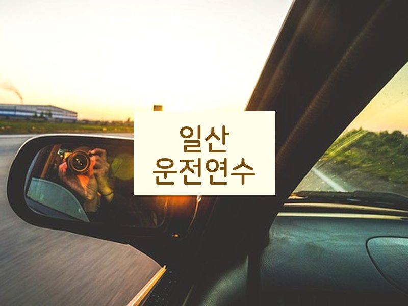 일산운전연수 후기