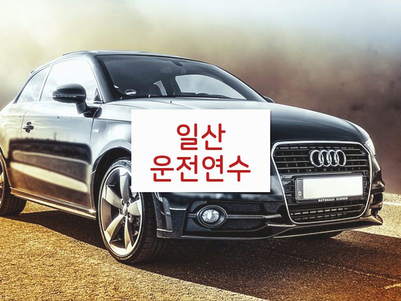 일산운전연수 후기
