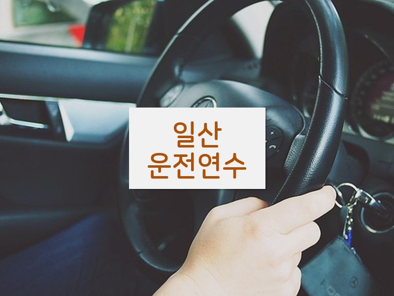 일산운전연수 후기