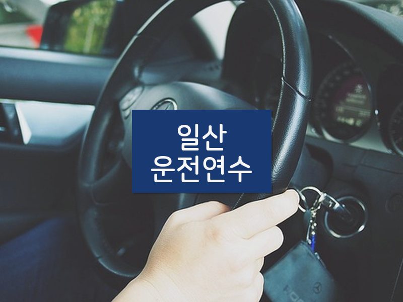 일산운전연수 후기