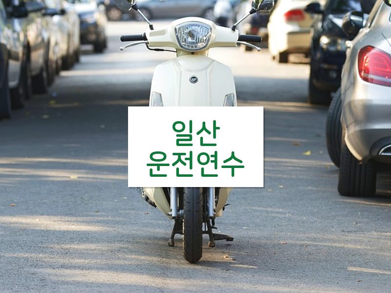 일산운전연수 후기