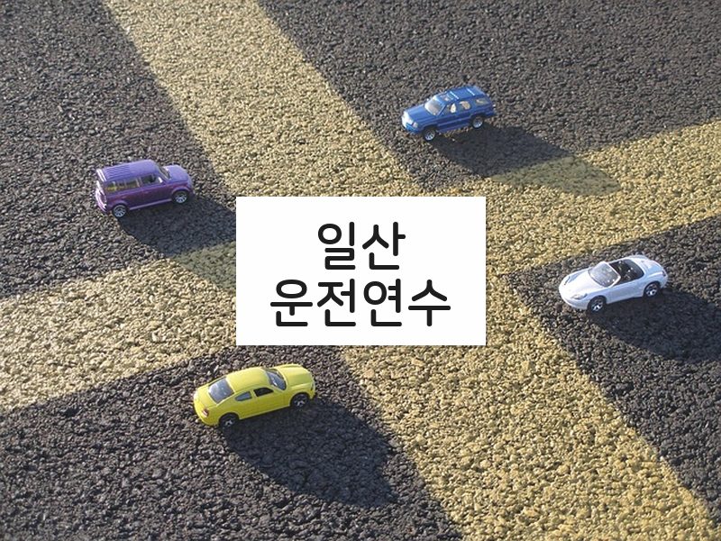 일산운전연수 후기