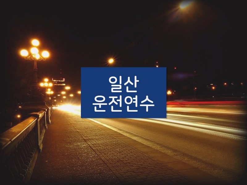 일산운전연수 후기