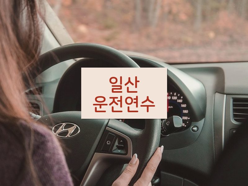 일산운전연수 후기