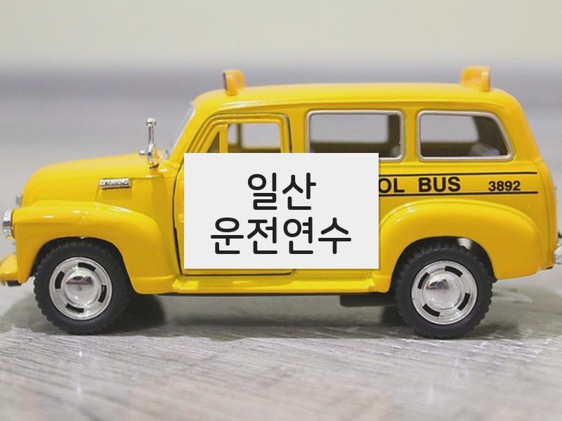 일산운전연수 후기