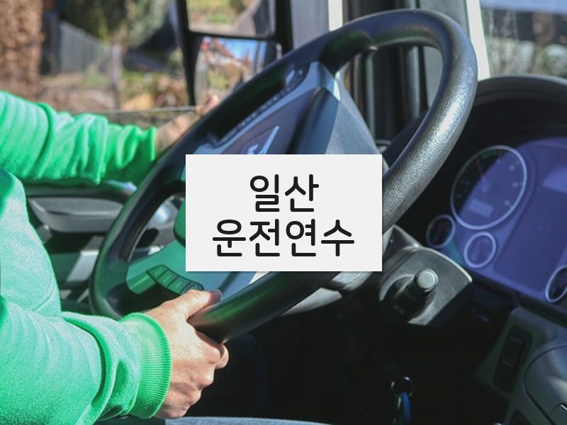 일산운전연수 후기