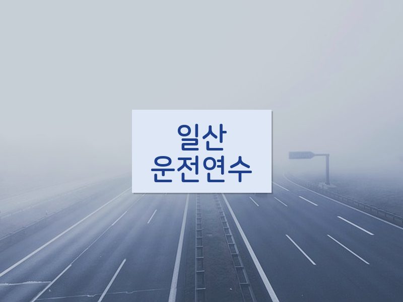 일산운전연수 후기