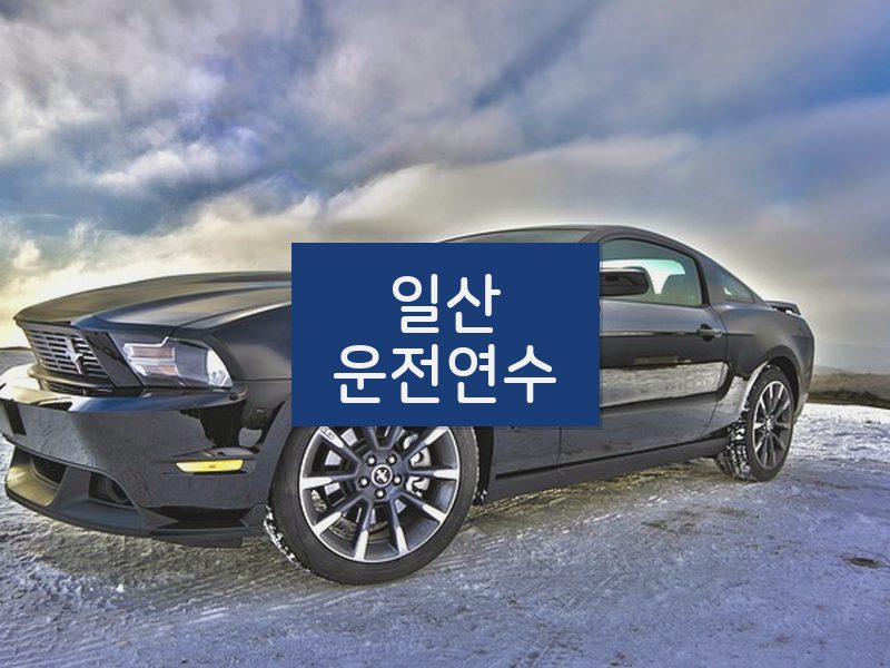 일산운전연수 후기