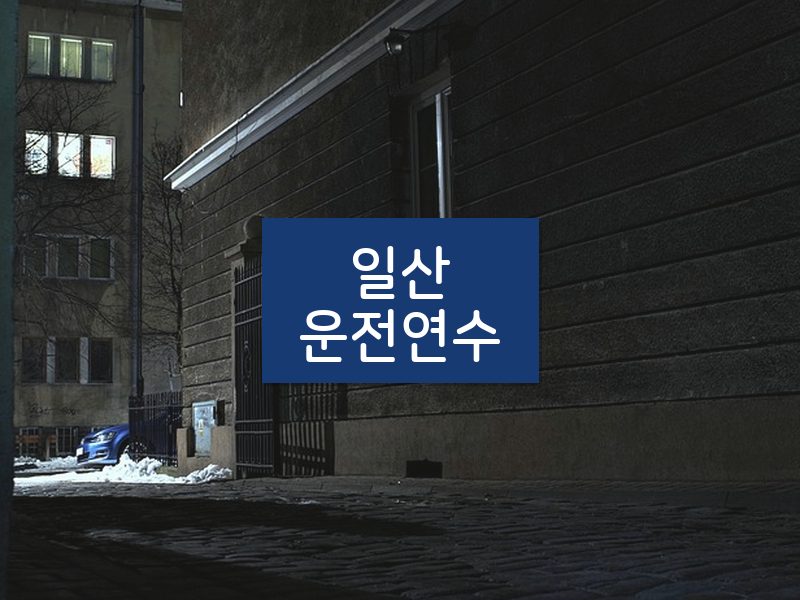 일산운전연수 후기