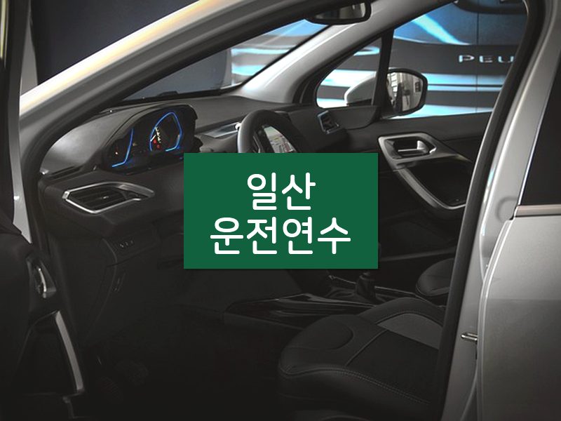 일산운전연수 후기