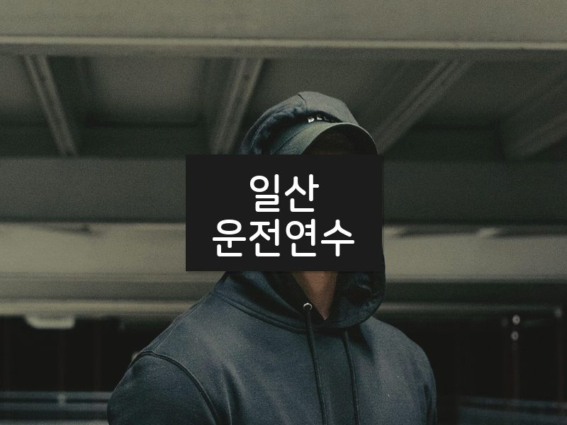 일산운전연수 후기