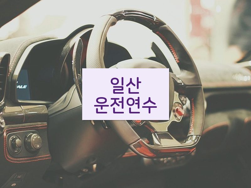 일산운전연수 후기