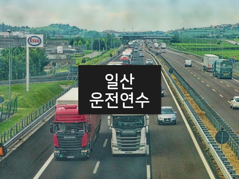 일산운전연수 후기