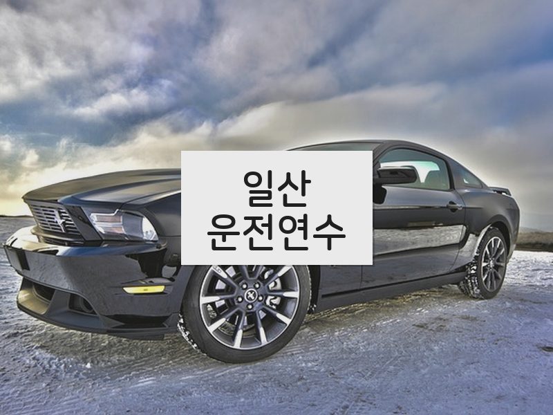 일산운전연수 후기