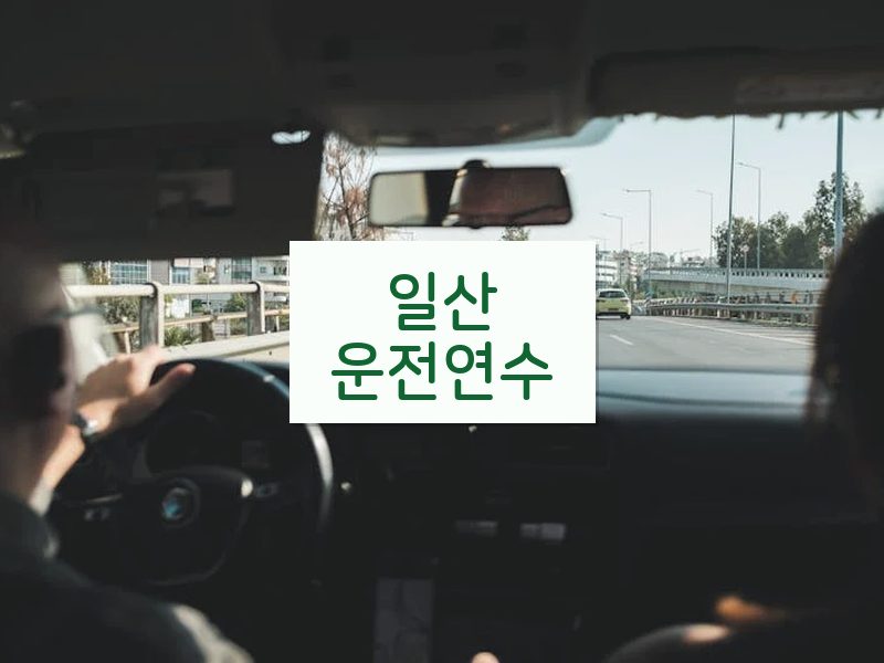 일산운전연수 후기