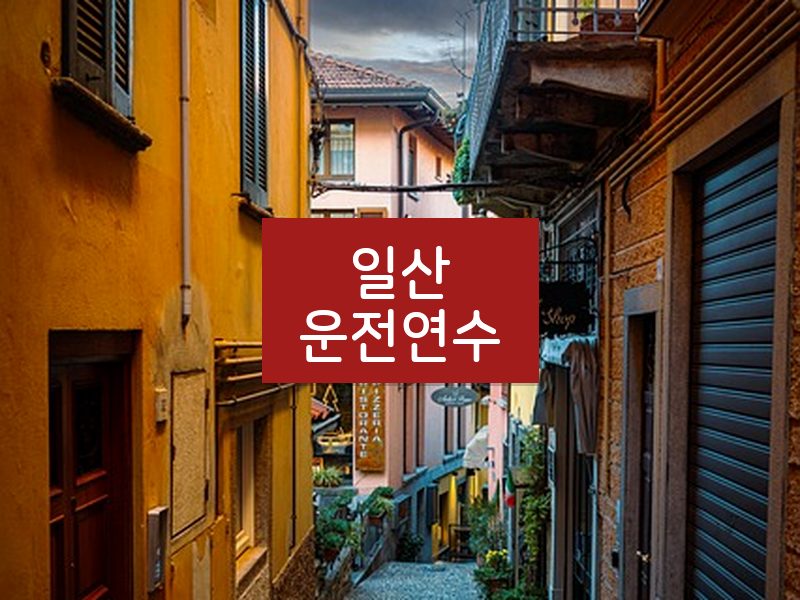 일산운전연수 후기
