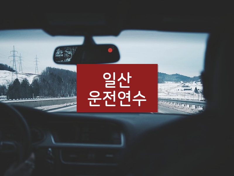 일산운전연수 후기
