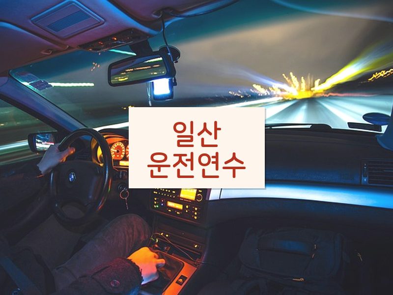 일산운전연수 후기
