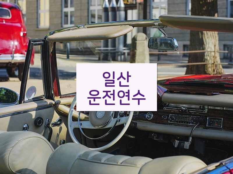 일산운전연수 후기