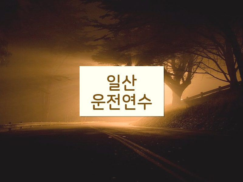 일산운전연수 후기