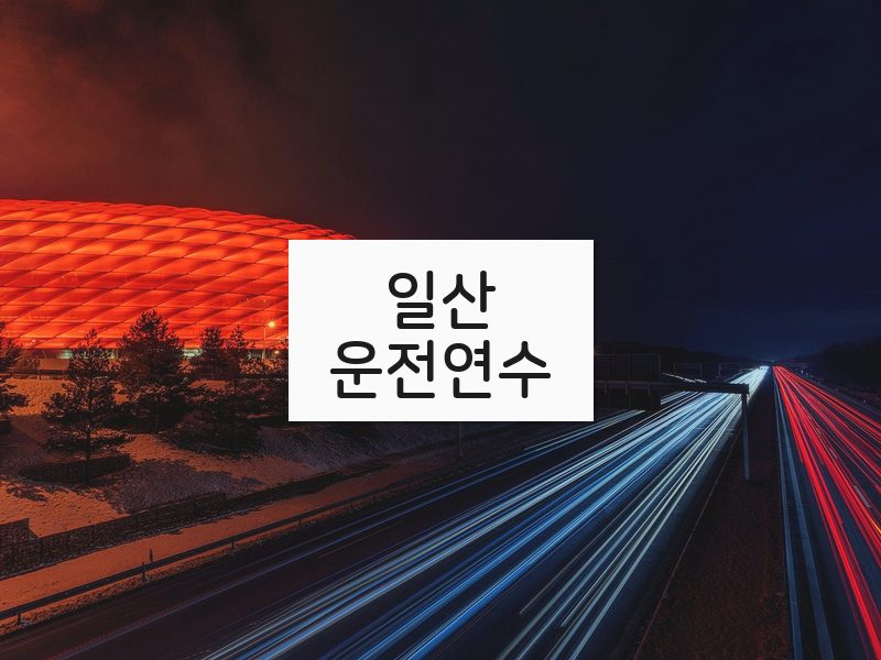 일산운전연수 후기
