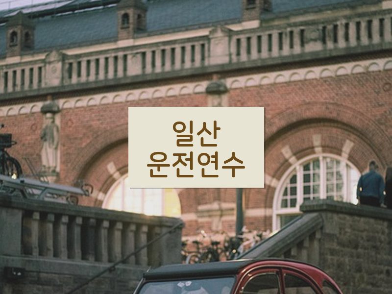 일산운전연수 후기