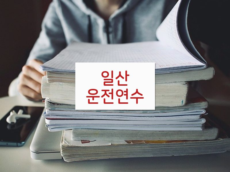 일산운전연수 후기