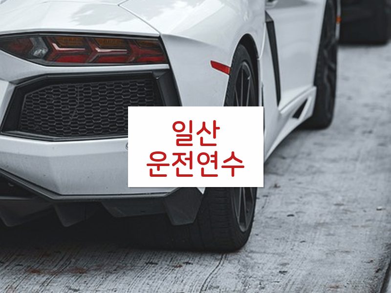 일산운전연수 후기