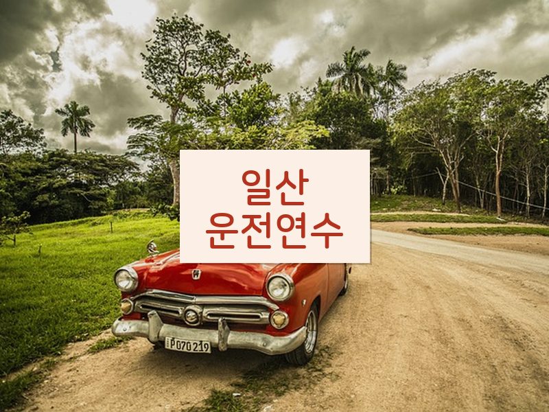 일산운전연수 후기